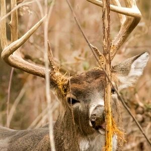 Meet your Posher, Christel